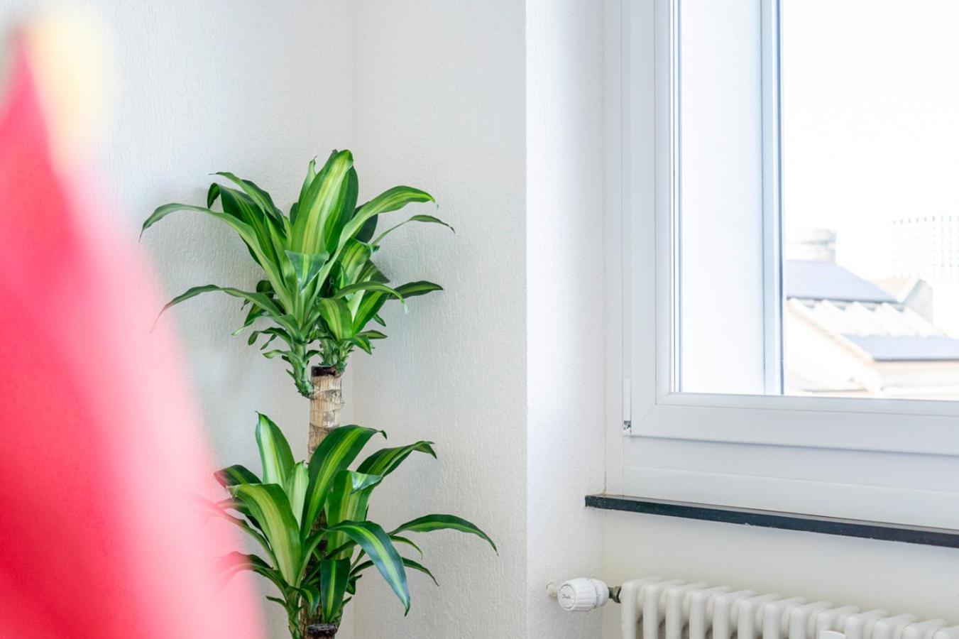Apartment Special Picco Picasso Basel, Bahnhof Grossbasel 10-star Basel